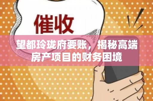 望都玲珑府要账，揭秘高端房产项目的财务困境