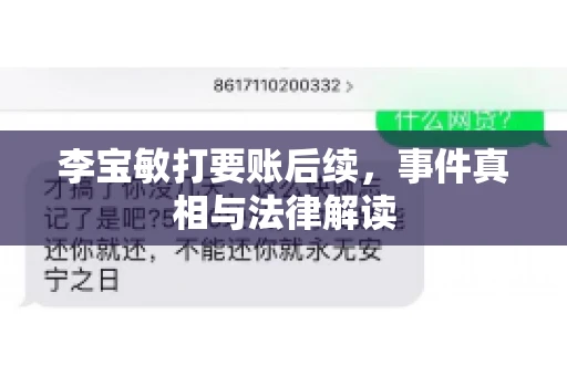 李宝敏打要账后续，事件真相与法律解读