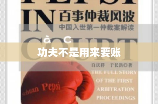 功夫不是用来要账