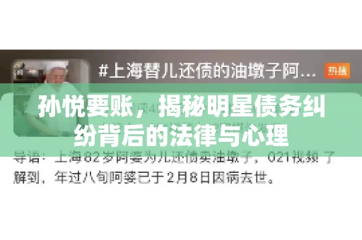 孙悦要账，揭秘明星债务纠纷背后的法律与心理