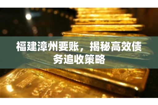 福建漳州要账,揭秘高效债务追收策略 福建漳州要账,揭秘高效债务追收策略
