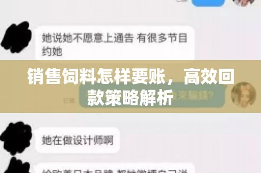 销售饲料怎样要账，高效回款策略解析