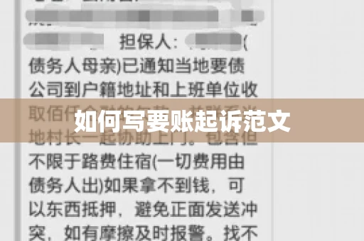 如何写要账起诉范文
