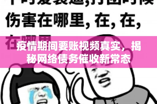 疫情期间要账视频真实，揭秘网络债务催收新常态