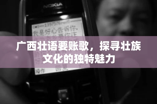 广西壮语要账歌，探寻壮族文化的独特魅力