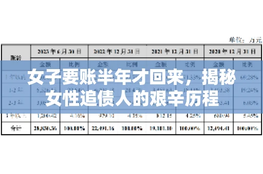 女子要账半年才回来，揭秘女性追债人的艰辛历程