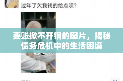 要账掀不开锅的图片，揭秘债务危机中的生活困境