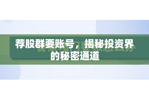 荐股群要账号，揭秘投资界的秘密通道