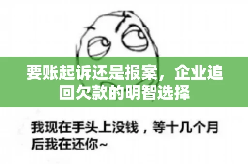 要账起诉还是报案，企业追回欠款的明智选择