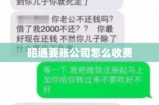 昭通要账公司怎么收费