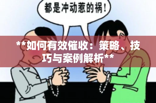 **如何有效催收：策略、技巧与案例解析**