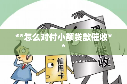 **怎么对付小额贷款催收**