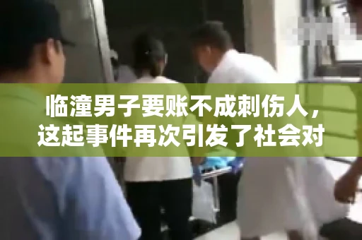 临潼男子要账不成刺伤人，这起事件再次引发了社会对讨债行为的关注。在这个故事中，我们不仅要了解事件的经过，还要思考如何避免类似悲剧的发生。