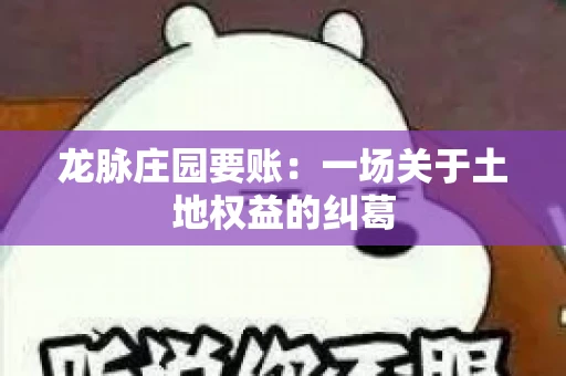 龙脉庄园要账：一场关于土地权益的纠葛