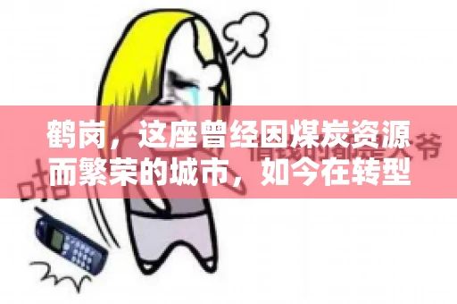 鹤岗，这座曾经因煤炭资源而繁荣的城市，如今在转型中寻求新的发展路径。在这座城市中，有一家名为“鹤岗要账公司”的企业，它以专业的服务，在众多企业中脱颖而出。今天，就让我们一起来了解一下这家公司，看看它是如何在这个充满挑战的市场中立足的。