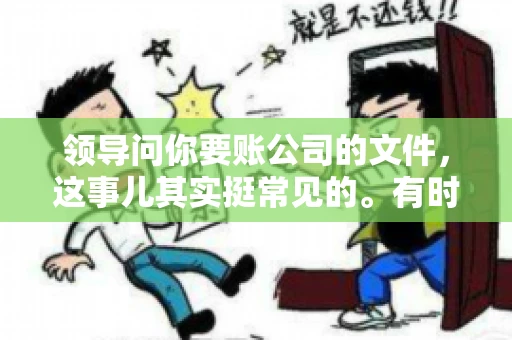 领导问你要账公司的文件，这事儿其实挺常见的。有时候，你可能一头雾水，不知道从何下手。今天，我就来和大家聊聊这个话题，希望能帮到大家。