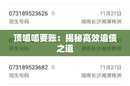 顶呱呱要账：揭秘高效追债之道
