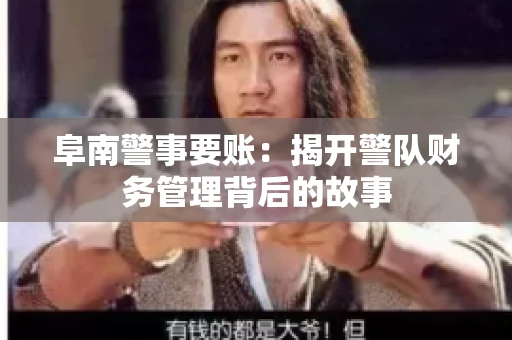 阜南警事要账：揭开警队财务管理背后的故事