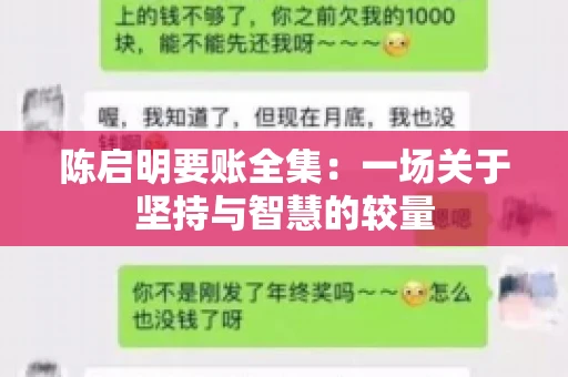 陈启明要账全集：一场关于坚持与智慧的较量