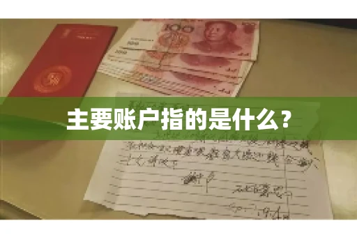 主要账户指的是什么？
