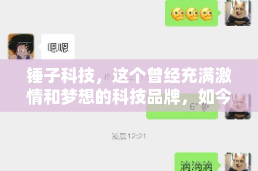 锤子科技，这个曾经充满激情和梦想的科技品牌，如今却陷入了要账的困境。今天，我们就来聊聊锤子科技要账的那些事儿。