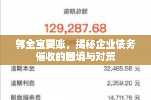 郭全宝要账，揭秘企业债务催收的困境与对策