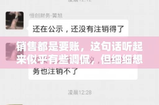 销售都是要账，这句话听起来似乎有些调侃，但细细想来，其中却蕴含着销售的艰辛与无奈。在销售行业中，要账确实是一项不可或缺的工作，它不仅考验着销售人员的沟通技巧，更考验着他们的耐心和毅力。今天，我们就来聊聊销售与要账的那些事儿。