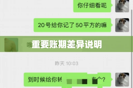重要账期差异说明