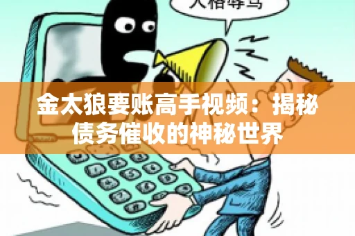 金太狼要账高手视频：揭秘债务催收的神秘世界