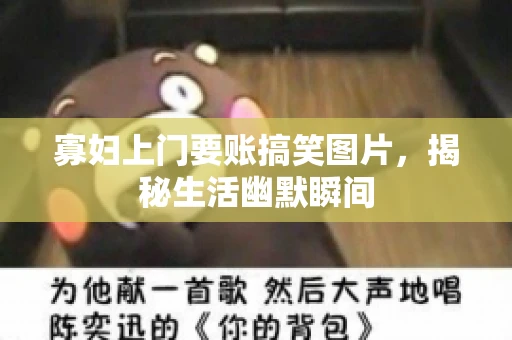 寡妇上门要账搞笑图片，揭秘生活幽默瞬间