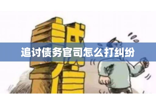 追讨债务官司怎么打纠纷