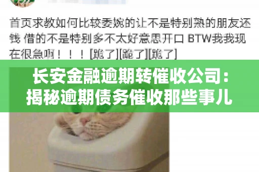 长安金融逾期转催收公司：揭秘逾期债务催收那些事儿