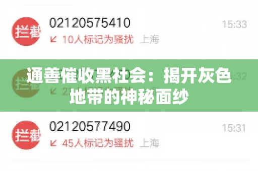 通善催收黑社会:揭开灰色地带的神秘面纱 通善催收黑社会:揭开灰色地带的神秘面纱