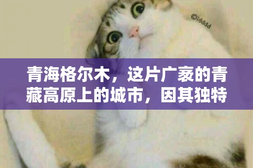 青海格尔木，这片广袤的青藏高原上的城市，因其独特的地理位置和丰富的自然资源而闻名。然而，对于一些借款人来说，这里可能因为逾期还款而接到催收电话。那么，青海格尔木的催收电话是哪家公司的呢？今天，我们就来聊聊这个话题。