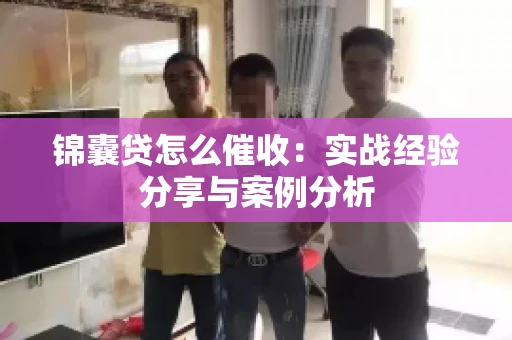 锦囊贷怎么催收：实战经验分享与案例分析