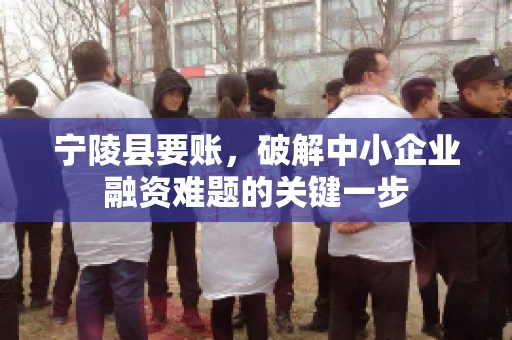 宁陵县要账，破解中小企业融资难题的关键一步
