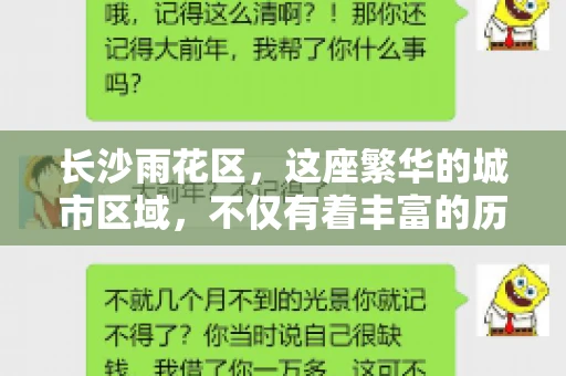 长沙雨花区，这座繁华的城市区域，不仅有着丰富的历史文化，还有着繁忙的金融活动。其中，催收公司作为金融行业的一个重要组成部分，在这里也有着不少的身影。那么，长沙雨花区都有哪些催收公司呢？今天，我们就来聊聊这个话题。