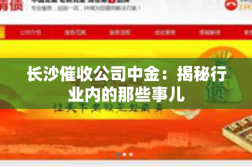 长沙催收公司中金：揭秘行业内的那些事儿