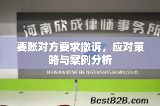 要账对方要求撤诉，应对策略与案例分析