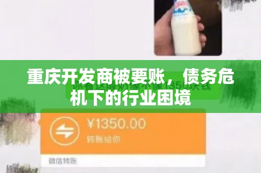 重庆开发商被要账，债务危机下的行业困境